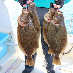 松本釣船２ 釣果