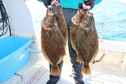 松本釣船２ 釣果