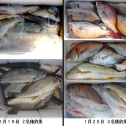 来温丸（らいおんまる） 釣果
