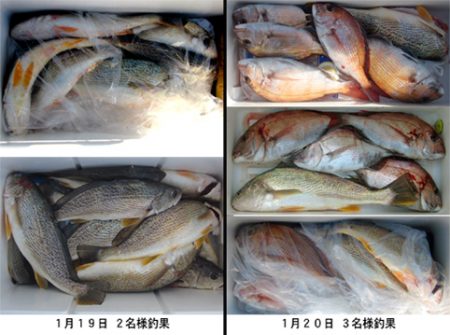 来温丸（らいおんまる） 釣果