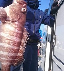 海龍丸(福岡) 釣果