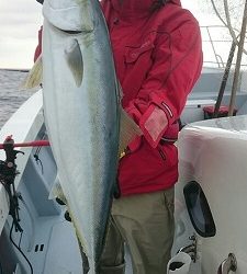 海龍丸(福岡) 釣果