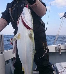 海龍丸(福岡) 釣果