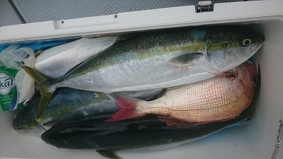 海龍丸(福岡) 釣果