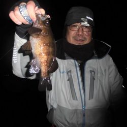 ルアー船マヒマヒ 釣果