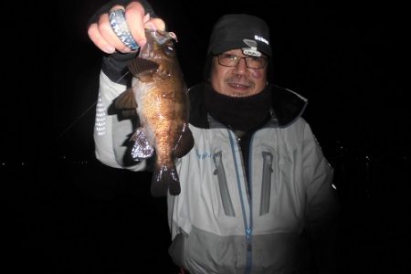 ルアー船マヒマヒ 釣果