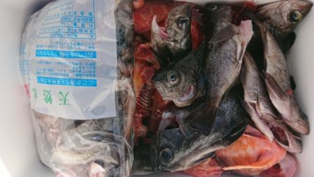 オーフリー 釣果