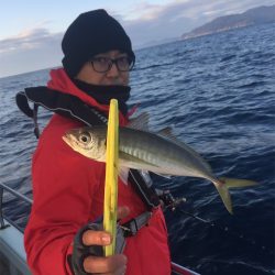 マタウマリンサービス 釣果