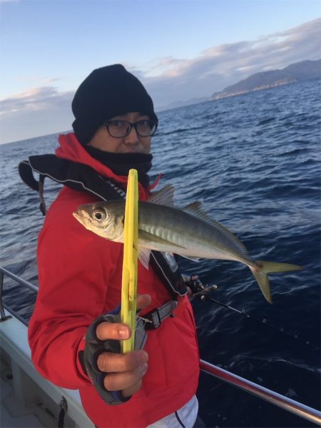 マタウマリンサービス 釣果