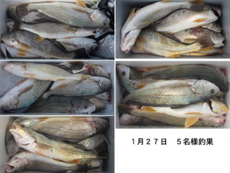 来温丸（らいおんまる） 釣果