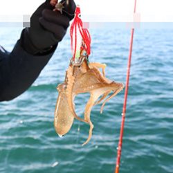 松本釣船２ 釣果