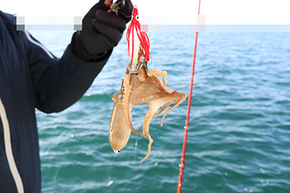 松本釣船２ 釣果