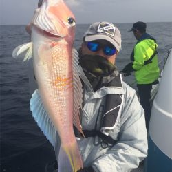 マタウマリンサービス 釣果