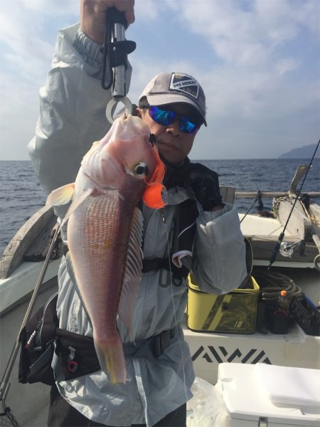 マタウマリンサービス 釣果