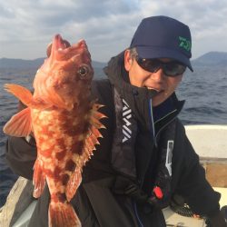 マタウマリンサービス 釣果