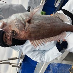 長栄丸(千葉) 釣果