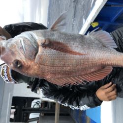 長栄丸(千葉) 釣果