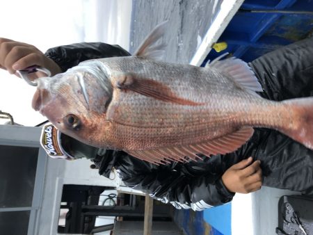 長栄丸(千葉) 釣果