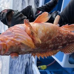 長栄丸(千葉) 釣果
