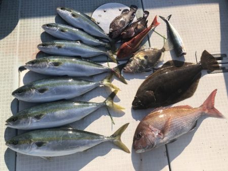 ふじしめ丸 釣果
