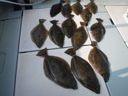 遊漁船 幸友丸 釣果