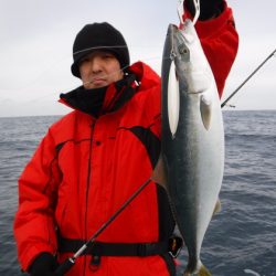 ＢｌｕｅＮｏｔｅ　Ｆｉｓｈｉｎｇ　Ｔａｘｉ 釣果