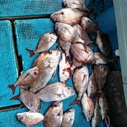 フィッシングガイド りょう 釣果