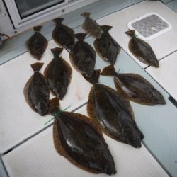 遊漁船 幸友丸 釣果