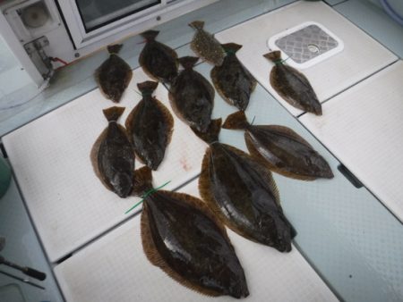 遊漁船 幸友丸 釣果