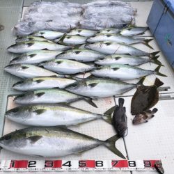 ふじしめ丸 釣果