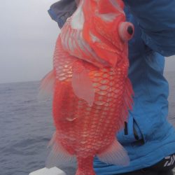 遊漁船 新鋭丸 釣果