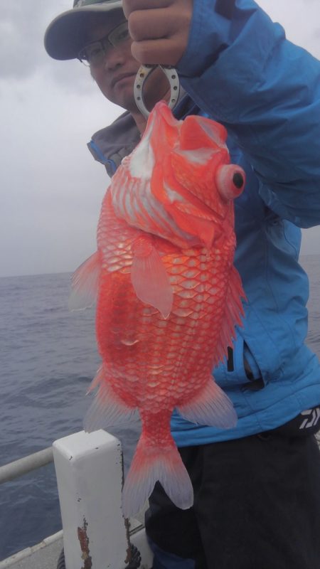 遊漁船 新鋭丸 釣果