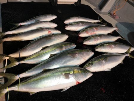 幸風（さちかぜ） 釣果