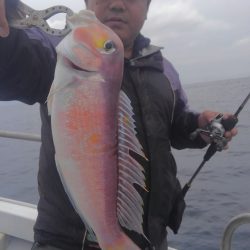 遊漁船 新鋭丸 釣果