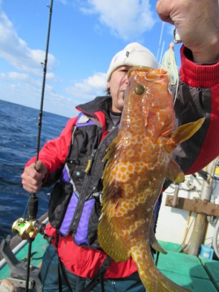 真祐丸 (しんゆうまる) 釣果