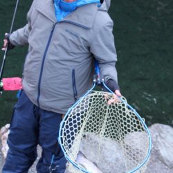 小菅トラウトガーデン 釣果