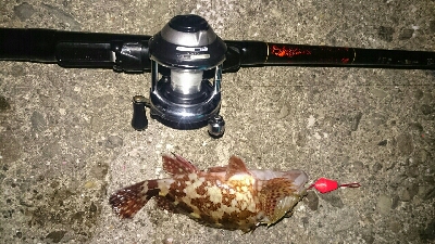 へち釣り&穴釣り