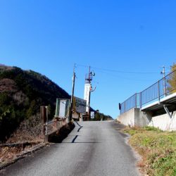 小菅トラウトガーデン 釣果