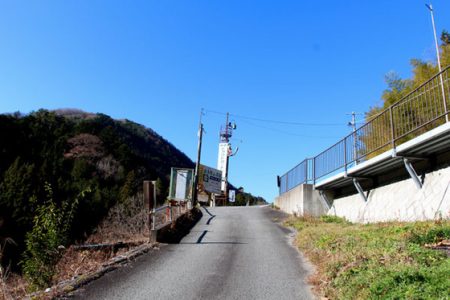 小菅トラウトガーデン 釣果