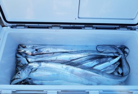 遊漁船 ニライカナイ 釣果