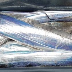 遊漁船 ニライカナイ 釣果