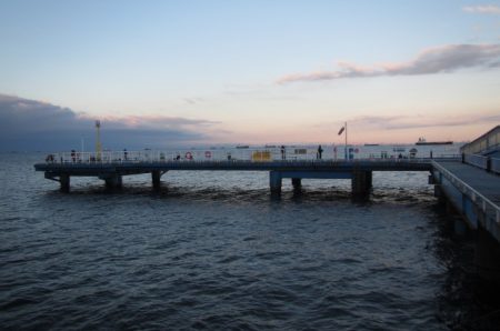 オリジナルメーカー海づり公園(市原市海づり施設) 釣果