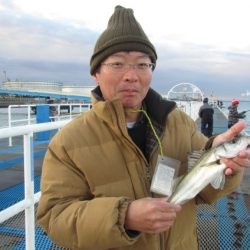 オリジナルメーカー海づり公園(市原市海づり施設) 釣果