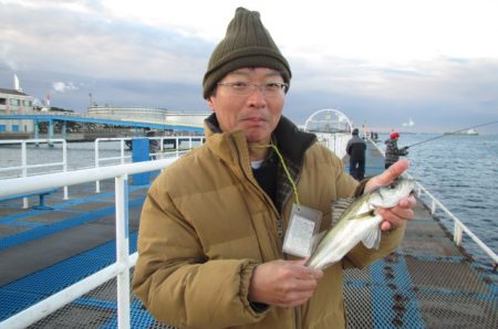 オリジナルメーカー海づり公園(市原市海づり施設) 釣果