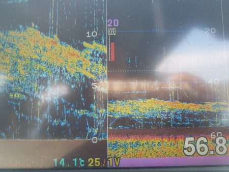 遊漁船 ニライカナイ 釣果