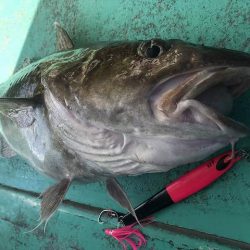 広進丸 釣果