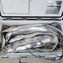 遊漁船 ニライカナイ 釣果