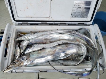 遊漁船 ニライカナイ 釣果