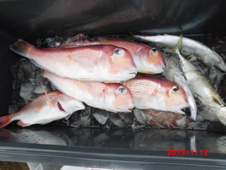 大進丸（新潟） 釣果