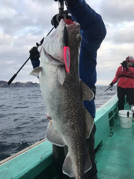 広進丸 釣果